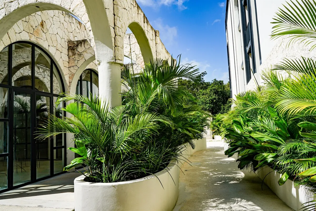 Pasillo exterior con arcos coloniales y palmeras tropicales en Tulum centro